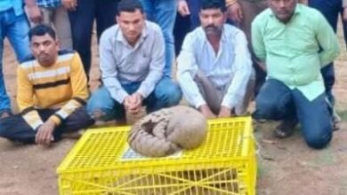 1688045790 9a40f382b3adabfeb2c0