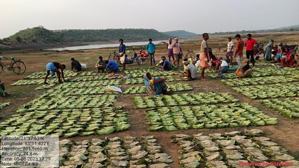 Chhattisgarh's tendu leaf collectors to receive incentive wages of Rs 424.11 crore 1 IMG 20230614 WA0017