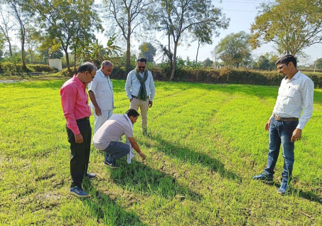 Millet Mission: Chhattisgarh's inspiring journey to becoming a flourishing 'Millet Hub' 2 IMG 20230617 WA0005