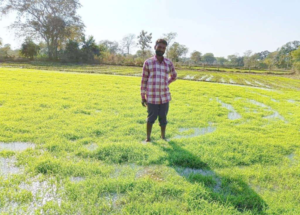 Millet Mission: Chhattisgarh's inspiring journey to becoming a flourishing 'Millet Hub' 3 IMG 20230617 WA0006