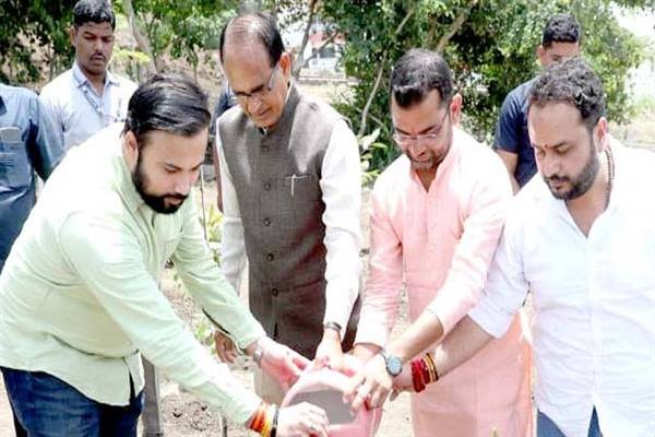 मुख्यमंत्री श्री चौहान ने किया पौध-रोपण 1 TN5 Bhopal180623042854