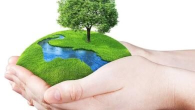 images 2023 06 04T084219.241