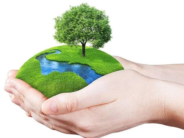 images 2023 06 04T084219.241