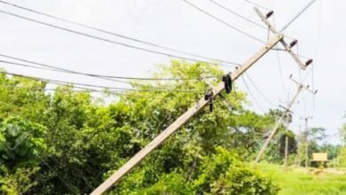 images 2023 06 10T090530.901