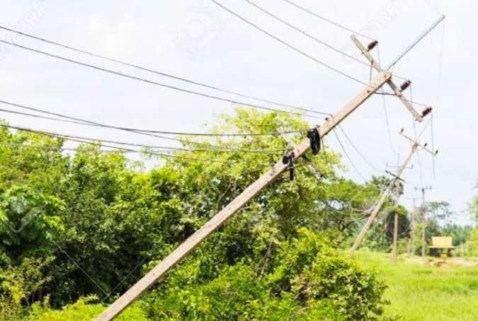 images 2023 06 10T090530.901