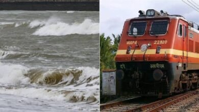 images 2023 06 13T081636.748