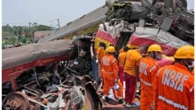 images 2023 06 13T082338.318