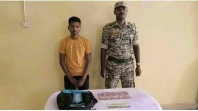 images 2023 06 18T110556.438