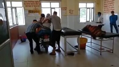 images 2023 06 19T005150.754