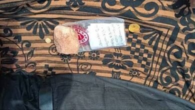 images 2023 06 21T175242.234