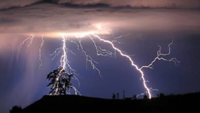 images 2023 06 23T075434.098