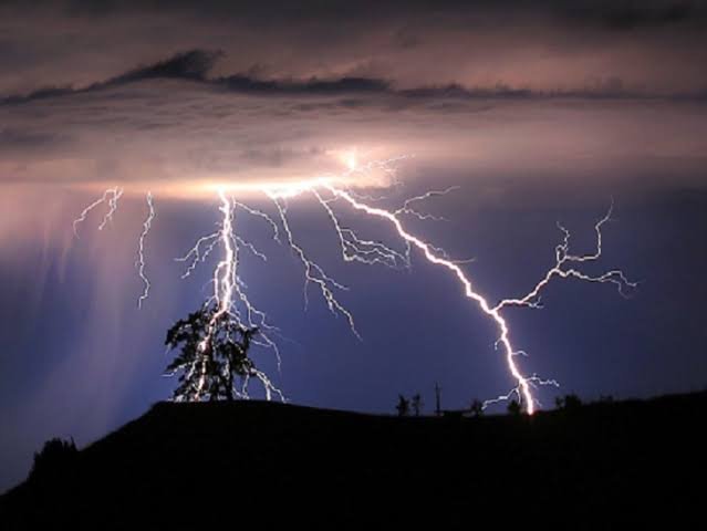 images 2023 06 23T075434.098