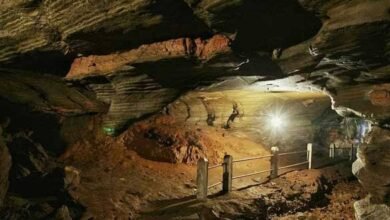 images 2023 06 27T204031.575