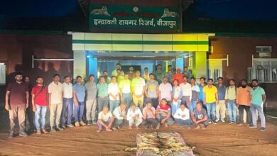 1688308322 c506c06474214a2bc3fb