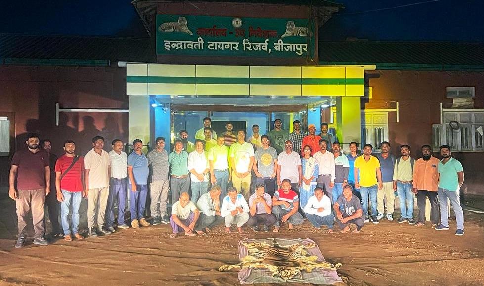 1688308322 c506c06474214a2bc3fb