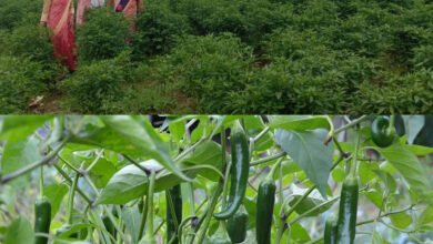 1688805328 3d315c1280b439b13c64 1