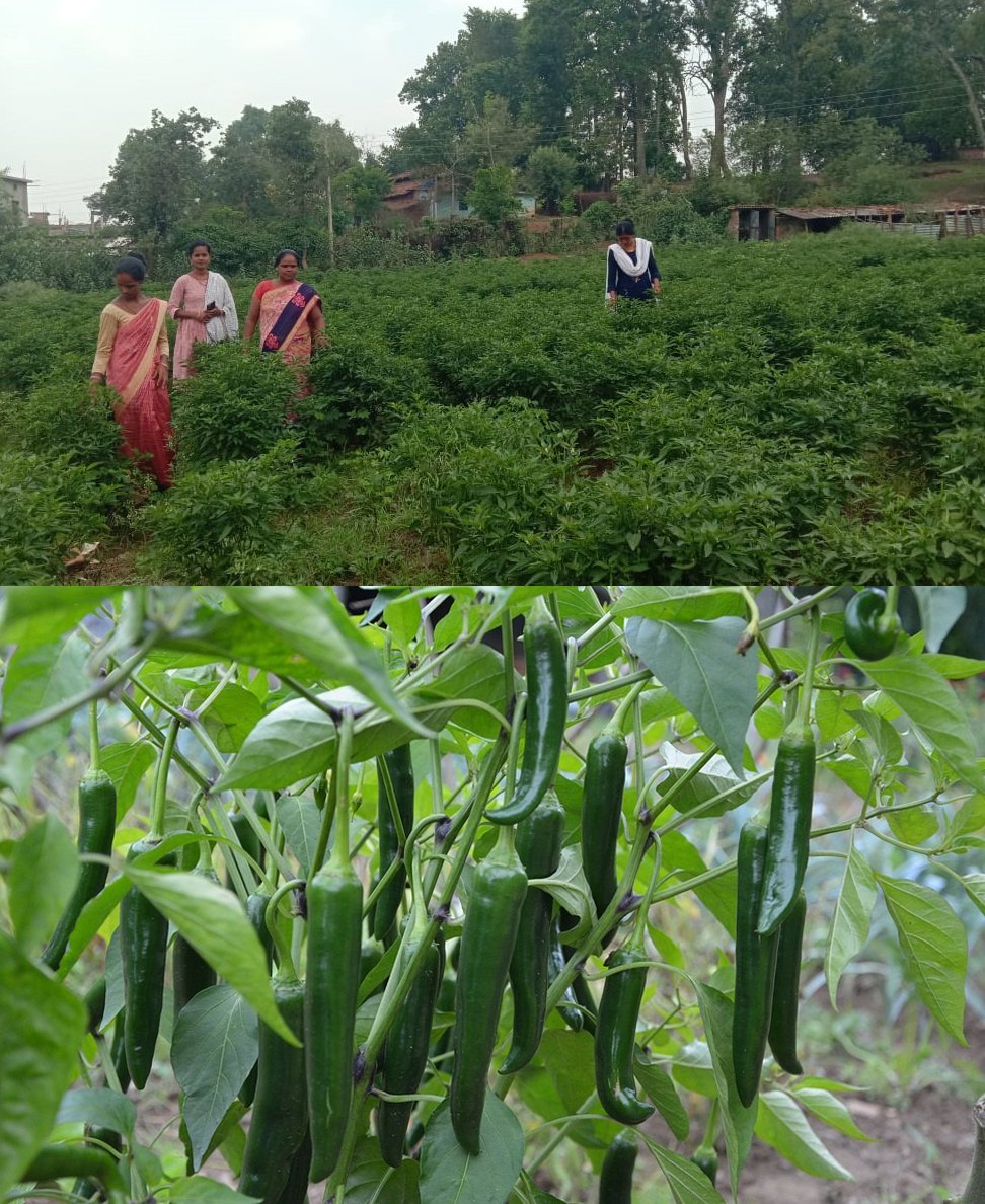 1688805328 3d315c1280b439b13c64 1