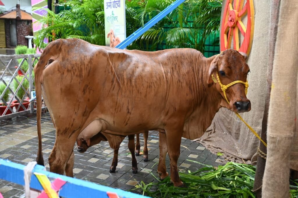 1689579213 69885207b266ae37e484