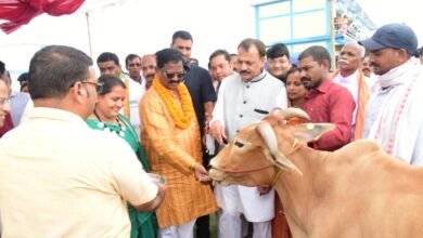 1689602898 ab7408110e8a4b0825a6