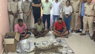 1689860203 5b79e28ed9c55ea9daa2