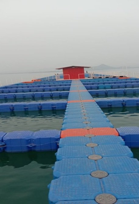 1690289226 306e555bab5d4c09e7c7