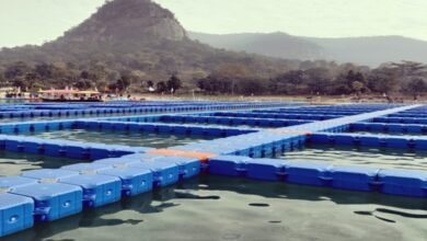 1690289254 f9298f4a2778cc0c4a28