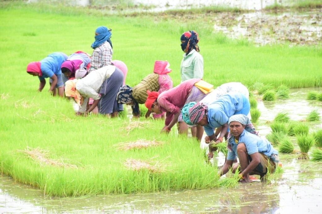 1690385821 703f2c125e843816e393