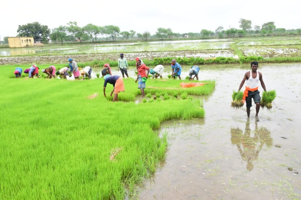 1690385850 5f79535cf59352167134