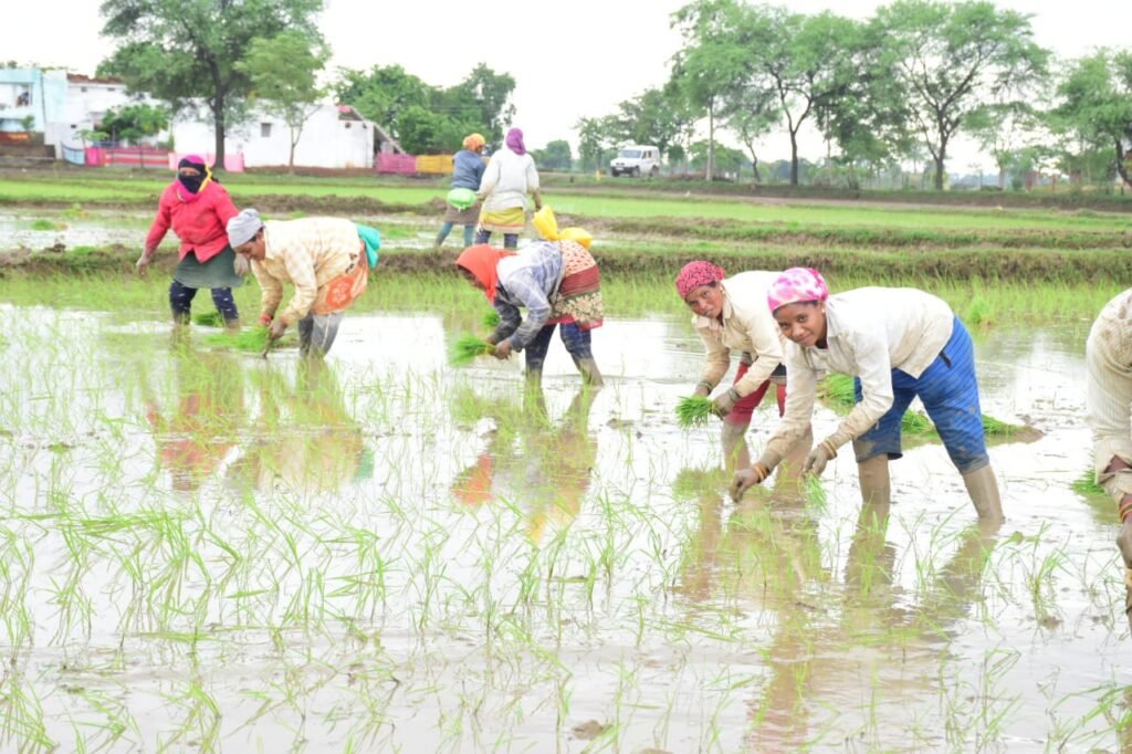 1690385891 3e04f29dfc1d0c063f25