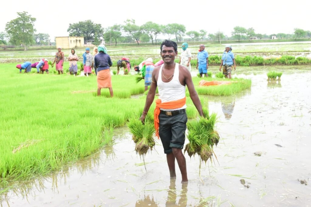 1690385929 704dc9768426b77585a2