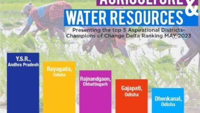 1690386013 036bfca1068f1515f33d