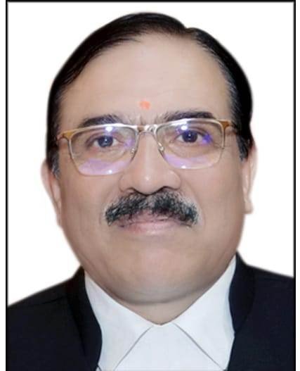 1690718742 ede47c02849c35bee1d6