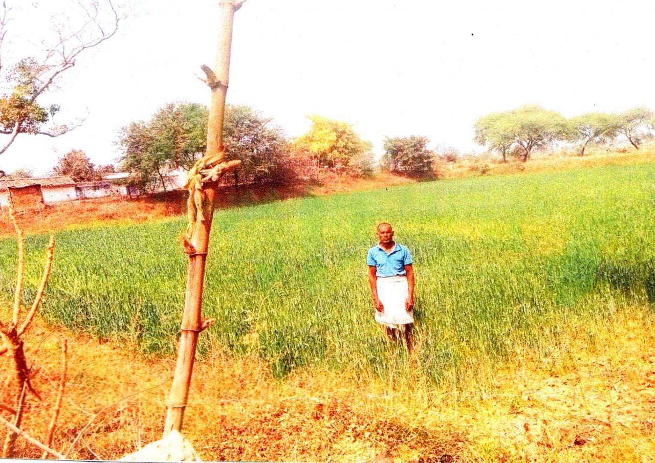 Farmers are benefiting from government schemes, cultivating crops at lower costs 1 IMG 20230728 WA0004