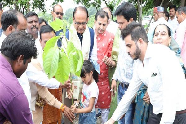 TN5 Bhopal140723015429