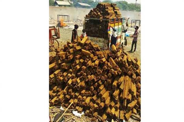 भोपाल का गो-काष्ठ अन्य राज्यों का भी बचा रहा वन एवं पर्यावरण 1 TN5 Bhopal300723071206