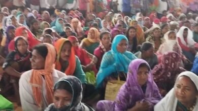 WhatsApp Image 2023 07 10 at 10.19.03