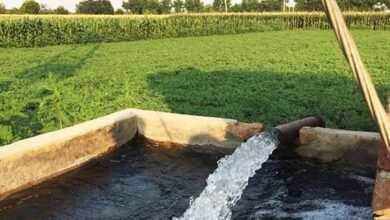 images 2023 07 06T095601.786