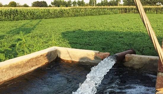 images 2023 07 06T095601.786