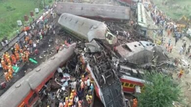 images 2023 07 08T113536.701