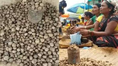 images 2023 07 10T105944.791