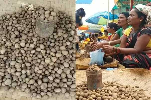 images 2023 07 10T105944.791