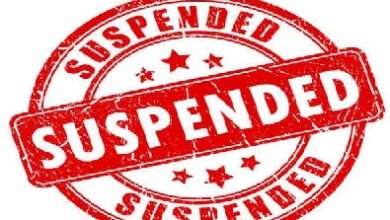 images 2023 07 12T133128.507