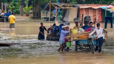 images 2023 07 13T075503.772