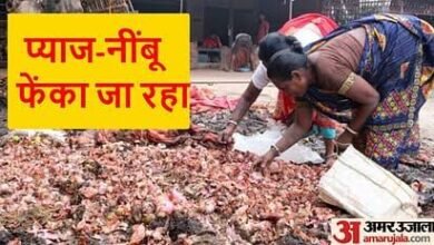 images 2023 07 13T080913.053