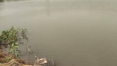 images 2023 07 14T090902.555