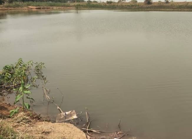 images 2023 07 14T090902.555