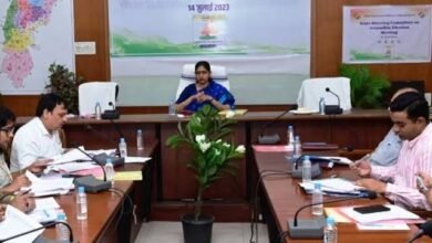 images 2023 07 15T124235.924