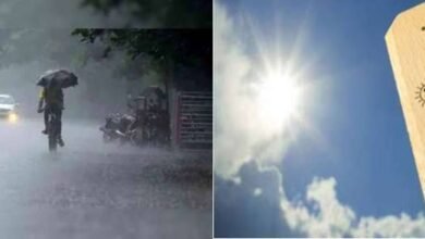 images 2023 07 15T124620.129