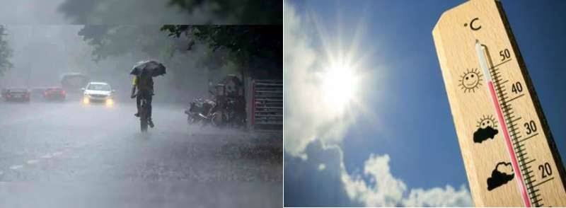 images 2023 07 15T124620.129