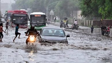 images 2023 07 17T112015.795